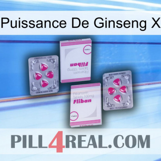 Ginseng Power X 33